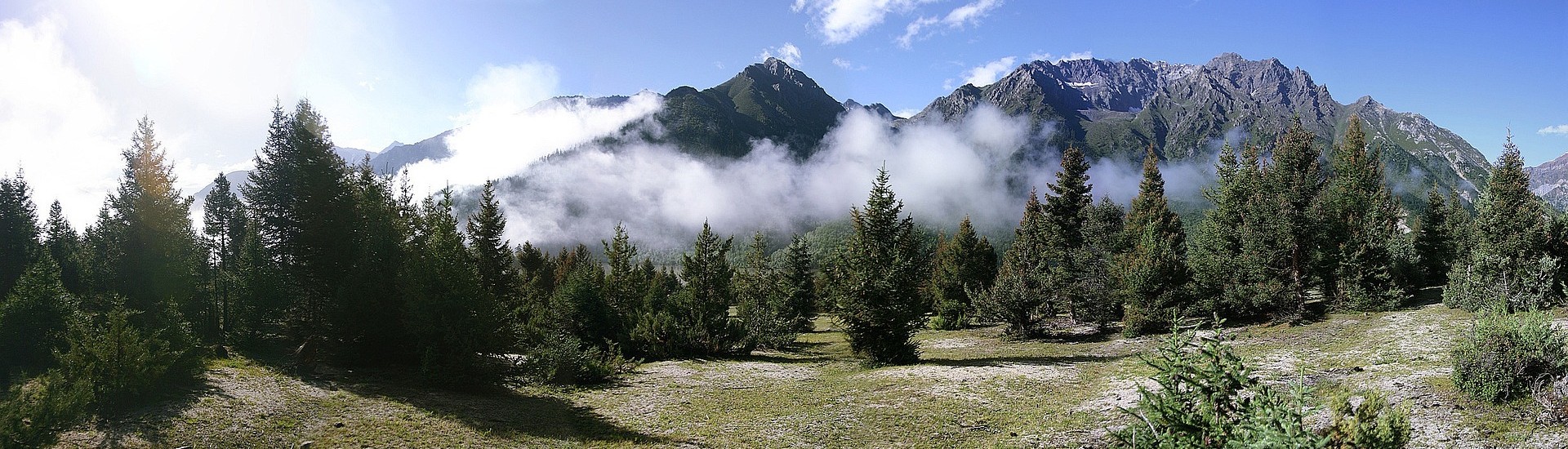 DIRECŢIA SILVICĂ SUCEAVA Header Image
