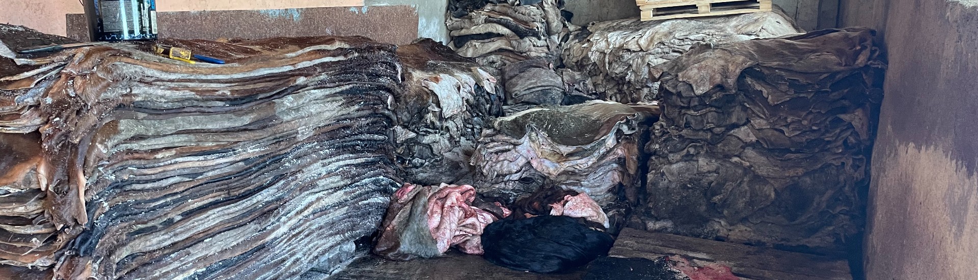 CON DEPAS IMPORT EXPORT SRL Header Image