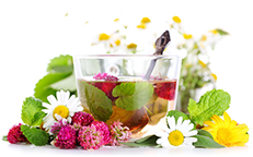 NUTRI-PLANT-MED SRL Header Image
