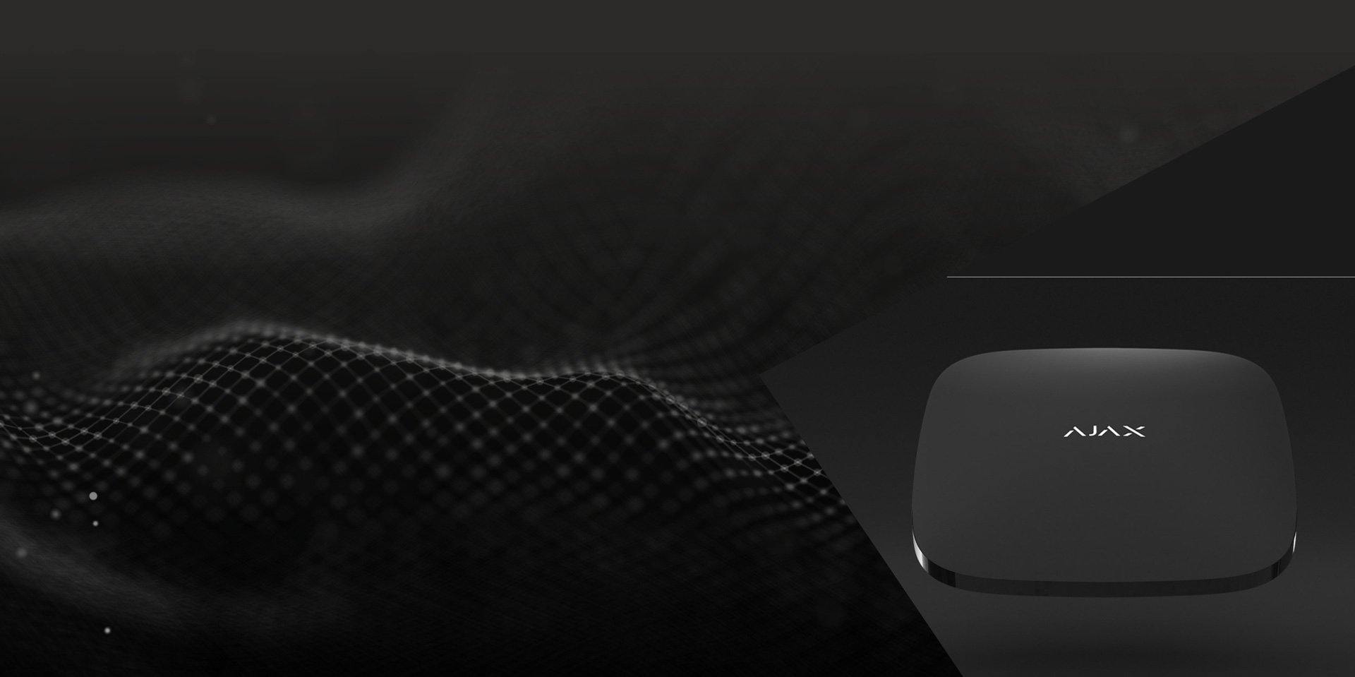 MAX GUARD SECURITY SRL Header Image