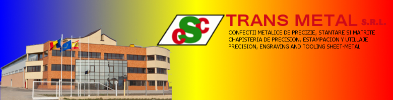 CSC TRANS METAL SRL Header Image