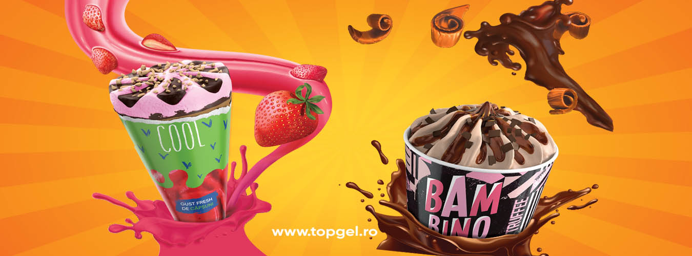 TOP GEL PROD SRL Header Image