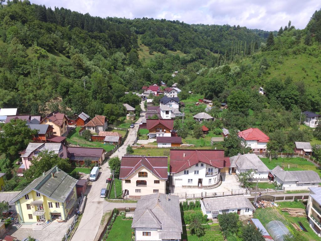 ÎNTREPRINDERE INDIVIDUALĂ CASA IVAȘCU MOISEI Header Image