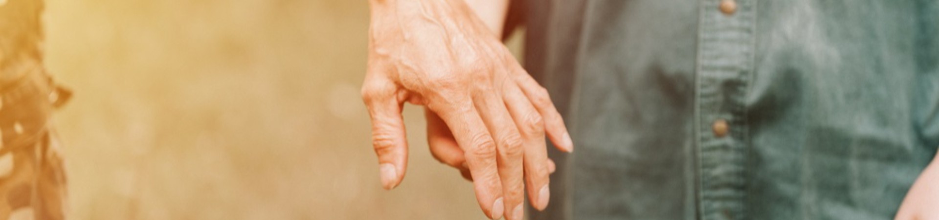 ASOCIAȚIA FILEO Header Image