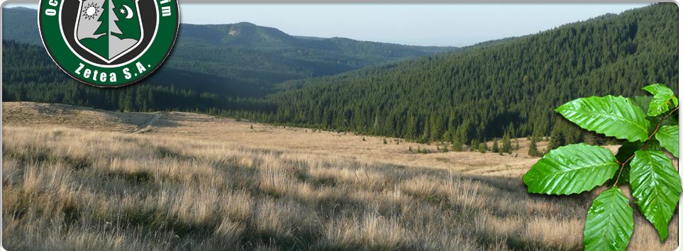 OCOLUL SILVIC DE REGIM ZETEA SA Header Image