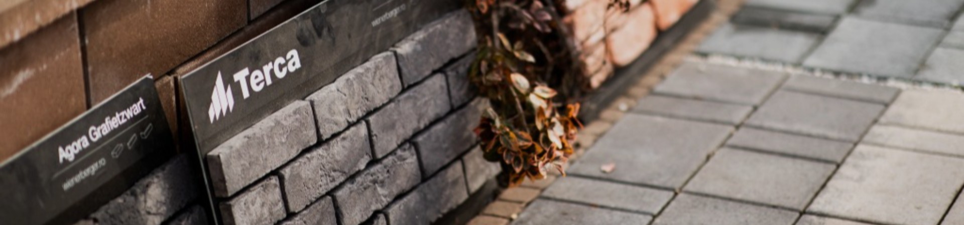 CENTRUL DE PAVAJE Header Image
