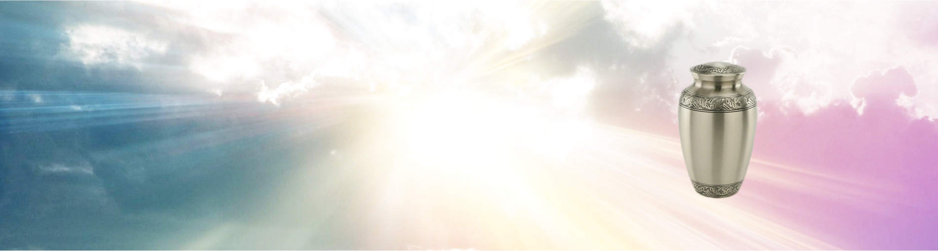 PRO IGNIS SRL Header Image