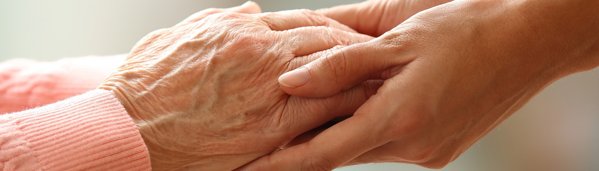 CENTRUL DE BĂTRÂNI ȘI ÎNGRIJIRI PALIATIVE IRIS SRL FOREST CENTER Header Image