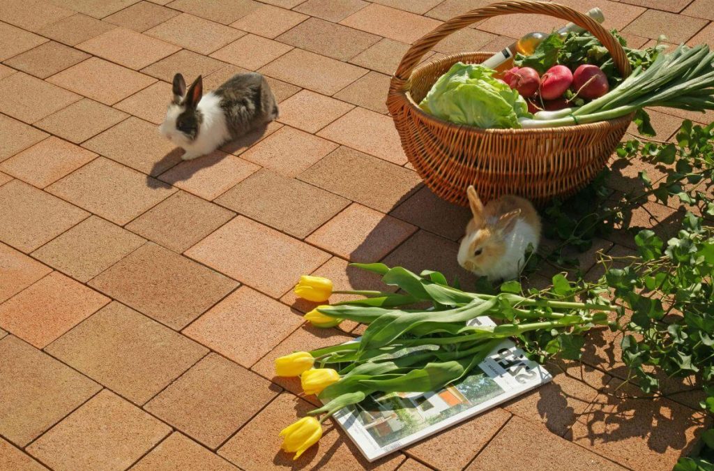 Servicii Premium Integrate pentru alegerea pavajului potrivit pentru amenajarea curții sau aleilor.