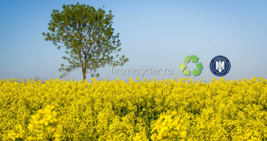 Obţinerea Avizului de Mediu