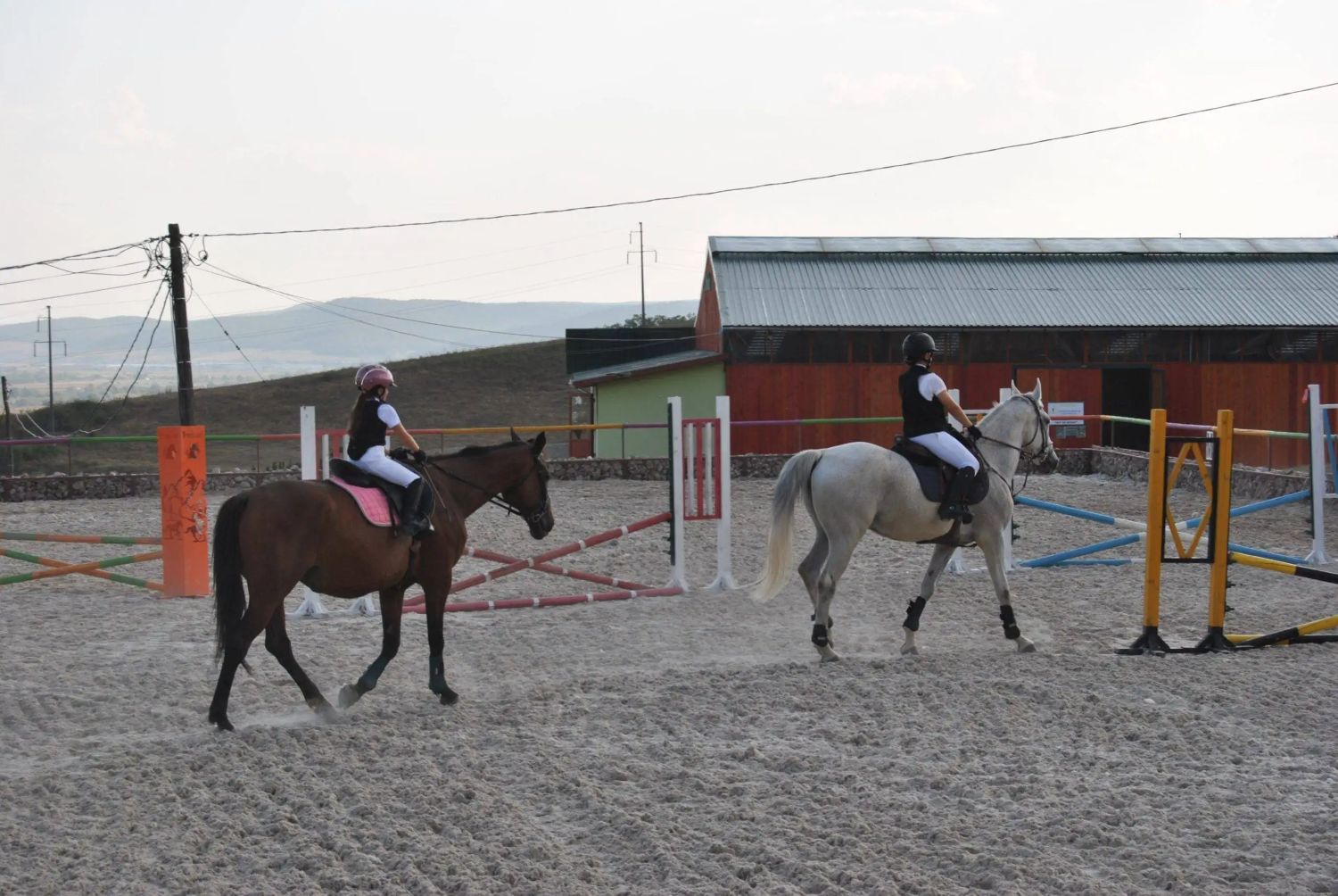 Hai la cai - Cunoaște Caii de la ToniLand- Cuzdrioara, Jud. Cluj